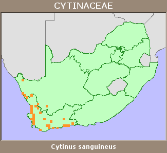 Distribution map