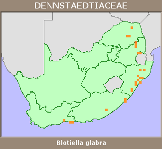Distribution map