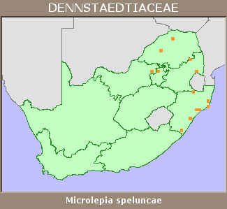 Distribution map