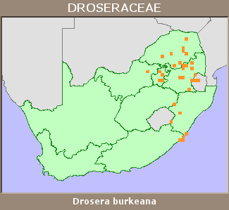 Distribution map