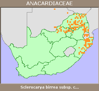 Distribution map