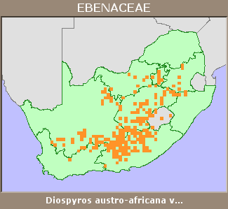 Distribution map