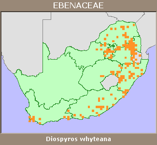 Distribution map