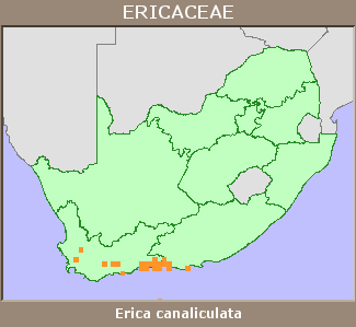 Distribution map