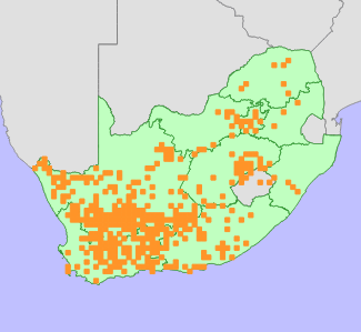 Distribution map
