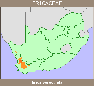 Distribution map