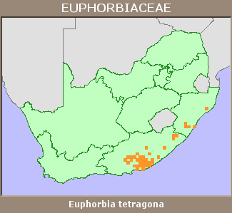 Distribution map