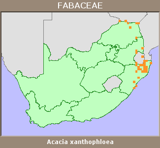 Distribution map