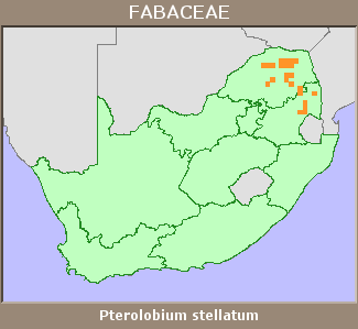 Distribution map