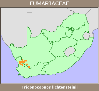 Distribution map