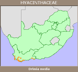 Distribution map