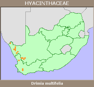 Distribution map