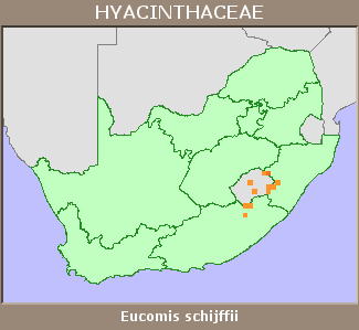 Distribution map