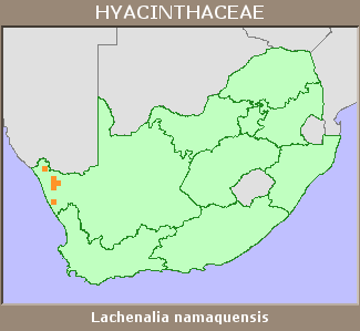 Distribution map