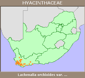 Distribution map