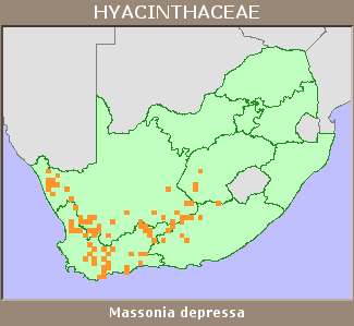 Distribution map