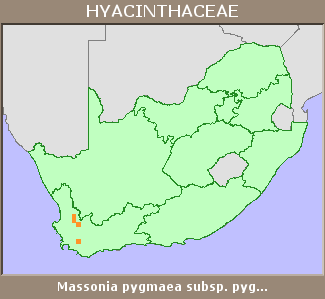 Distribution map
