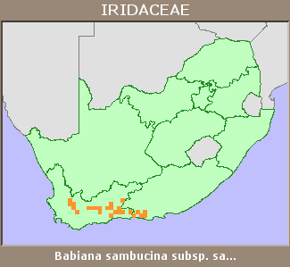 Distribution map