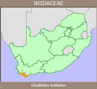 Distribution map