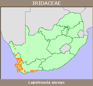 Distribution map
