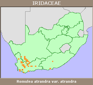 Distribution map