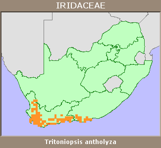 Distribution map