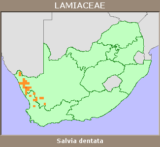 Distribution map