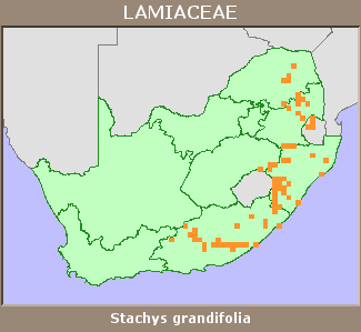 Distribution map
