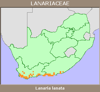 Distribution map