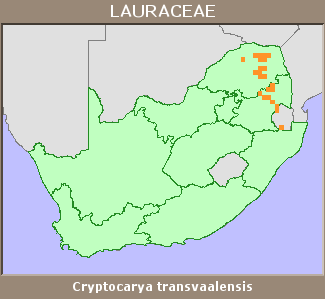Distribution map