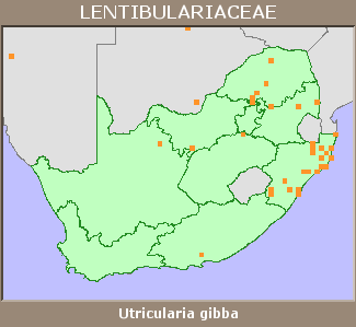 Distribution map