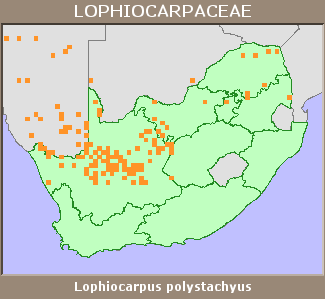 Distribution map