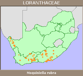 Distribution map
