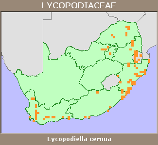 Distribution map