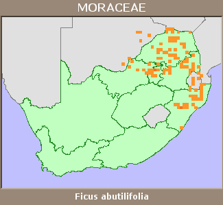 Distribution map