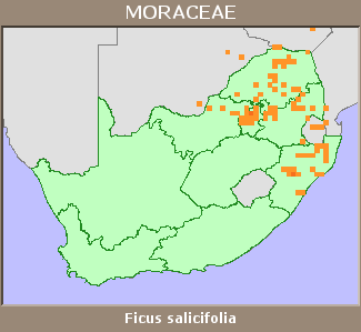 Distribution map