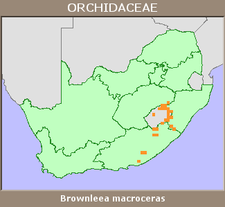 Distribution map