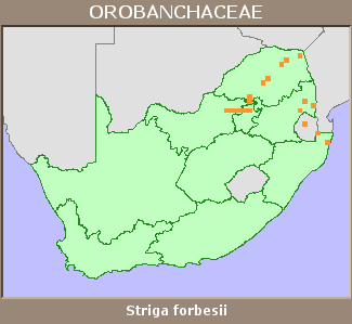 Distribution map