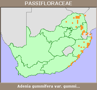 Distribution map