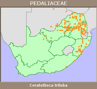 Distribution map