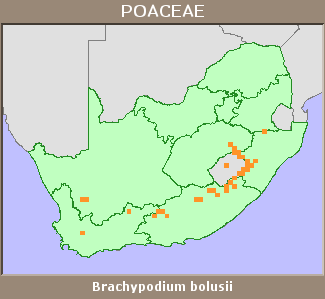 Distribution map
