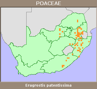 Distribution map