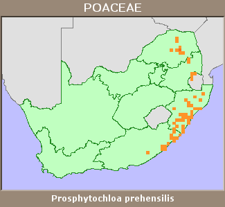 Distribution map