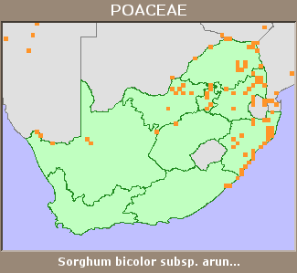 Distribution map