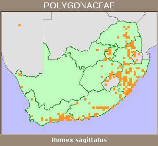 Distribution map