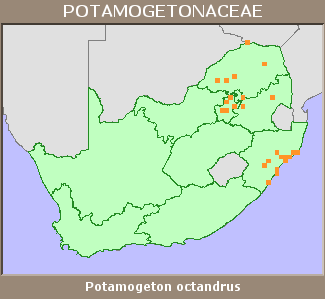 Distribution map