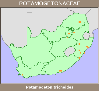 Distribution map