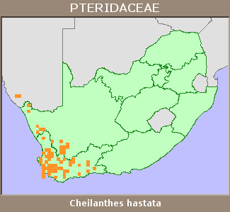 Distribution map