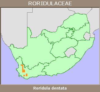 Distribution map
