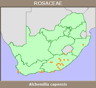 Distribution map